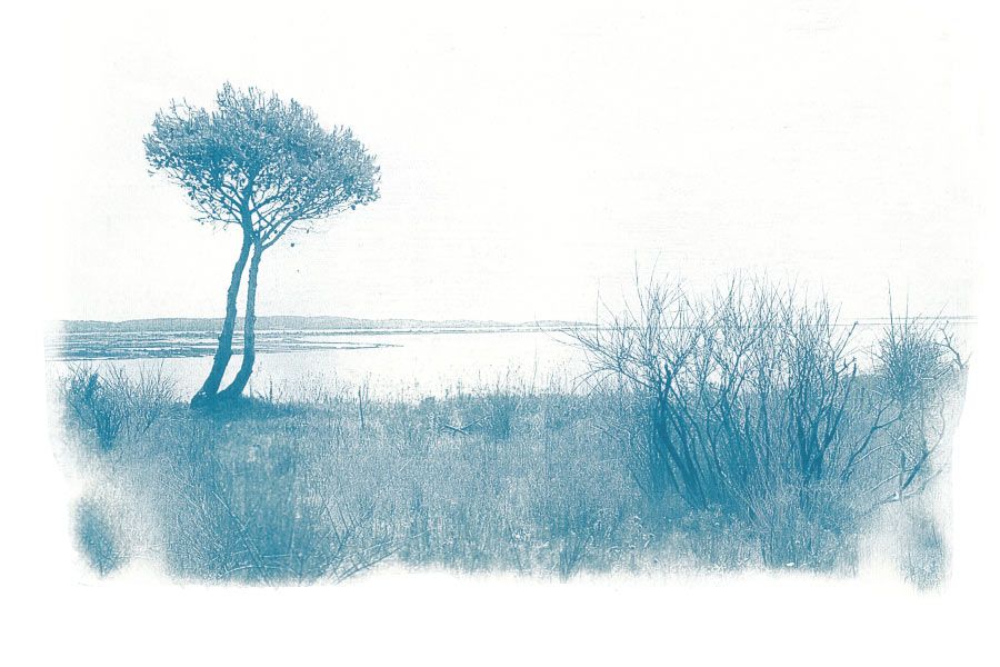 photographie-paysage-cyanotype
