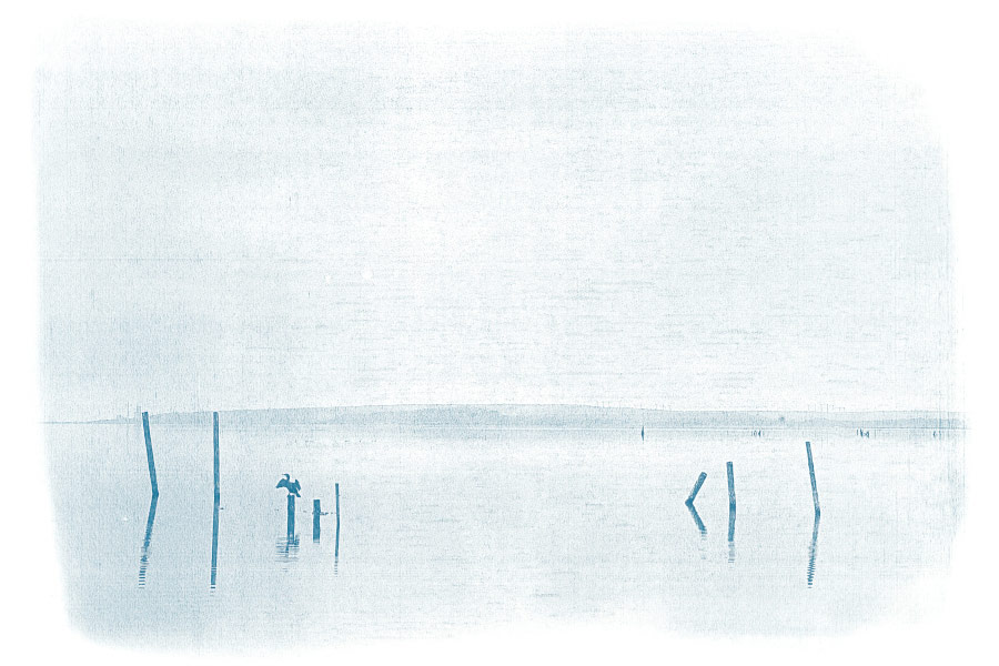 cyanotype mer