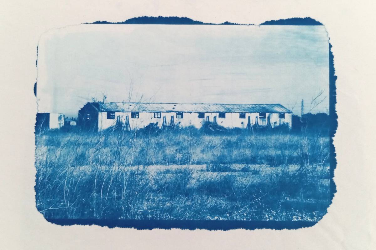 Cyanotype mémoire camps Rivesaltes 1