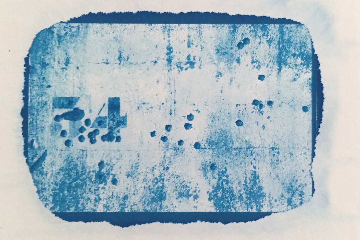 Cyanotype mémoire camps Rivesaltes 7