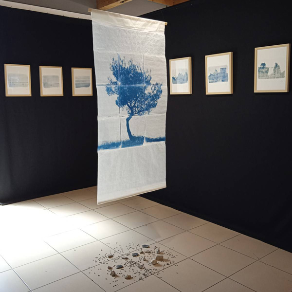 photo de l'exposition Etre arbres paysages sensibles