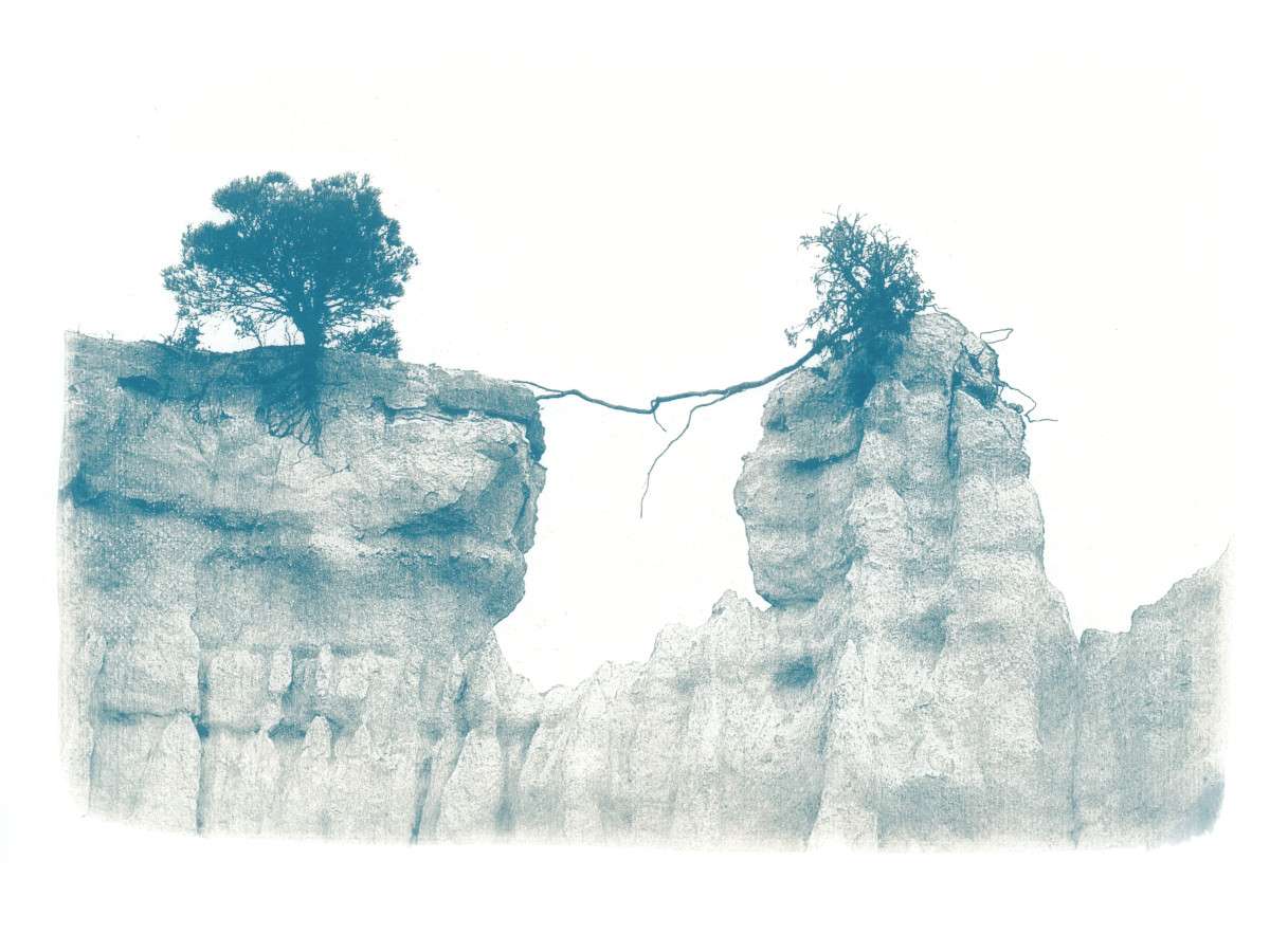 Cyanotype paysages sensibles 01
