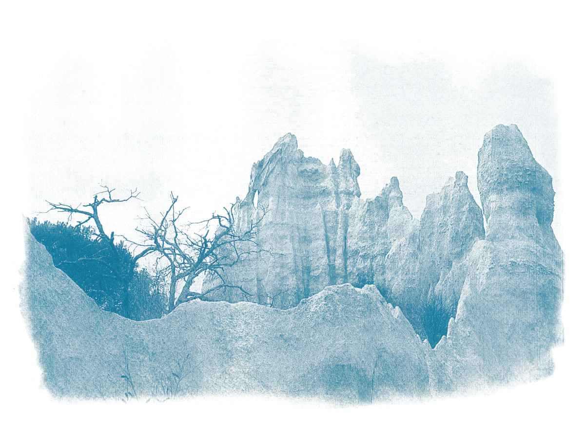 Cyanotype paysages sensibles 03