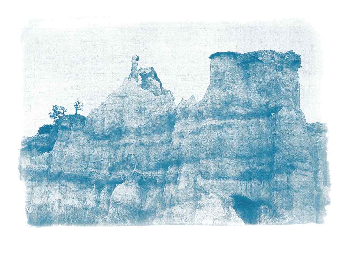 Cyanotype paysages sensibles 04