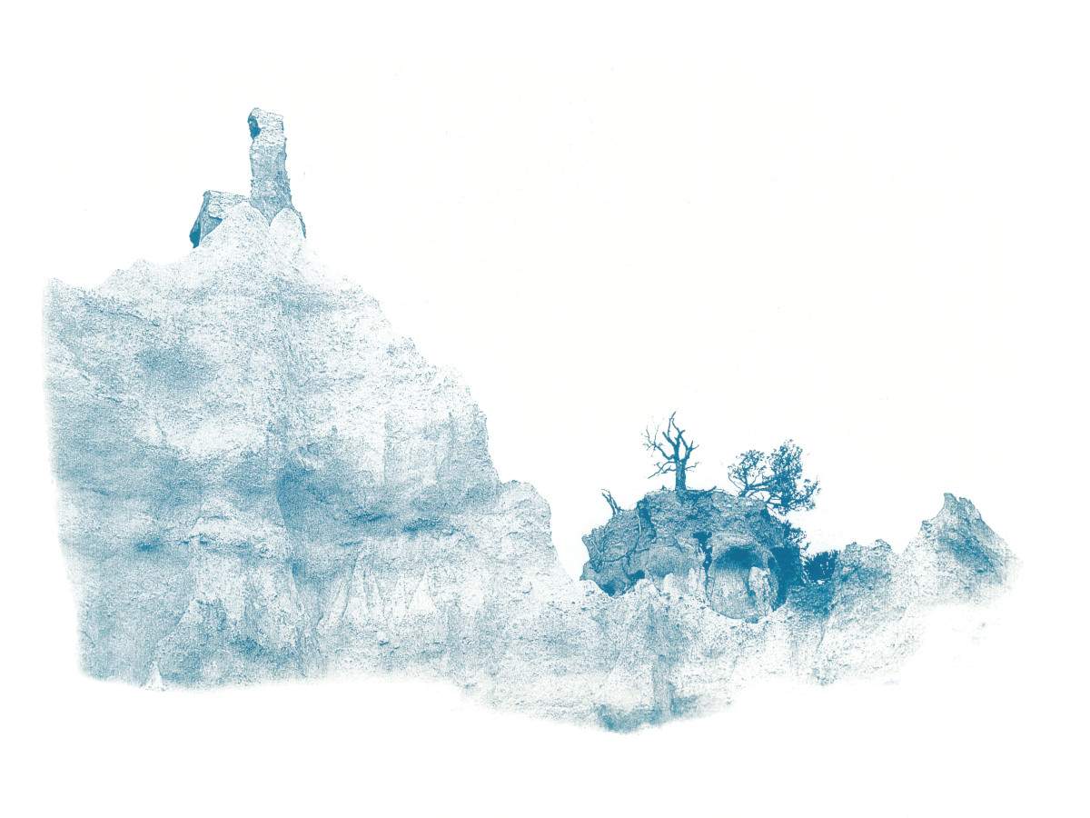 Cyanotype paysages sensibles 05