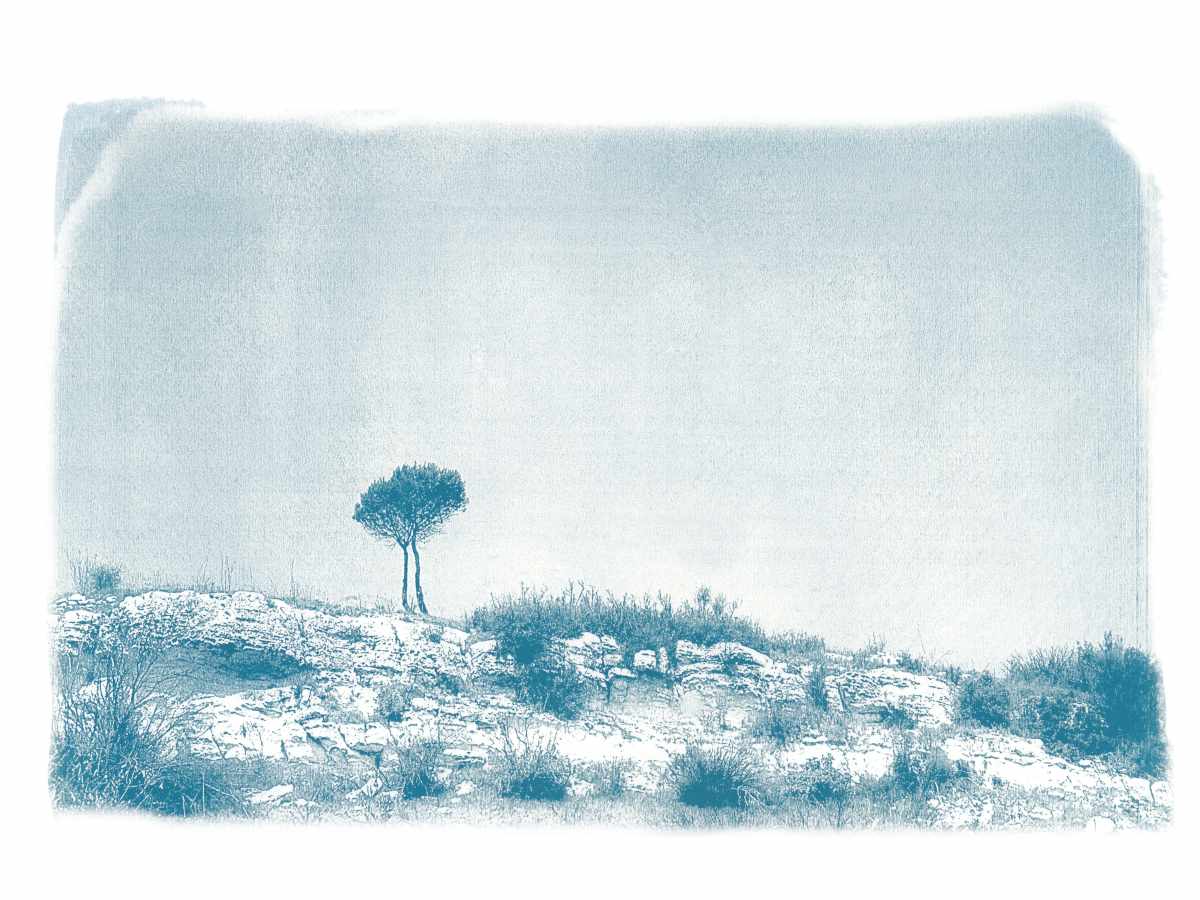 Cyanotype paysages sensibles 07