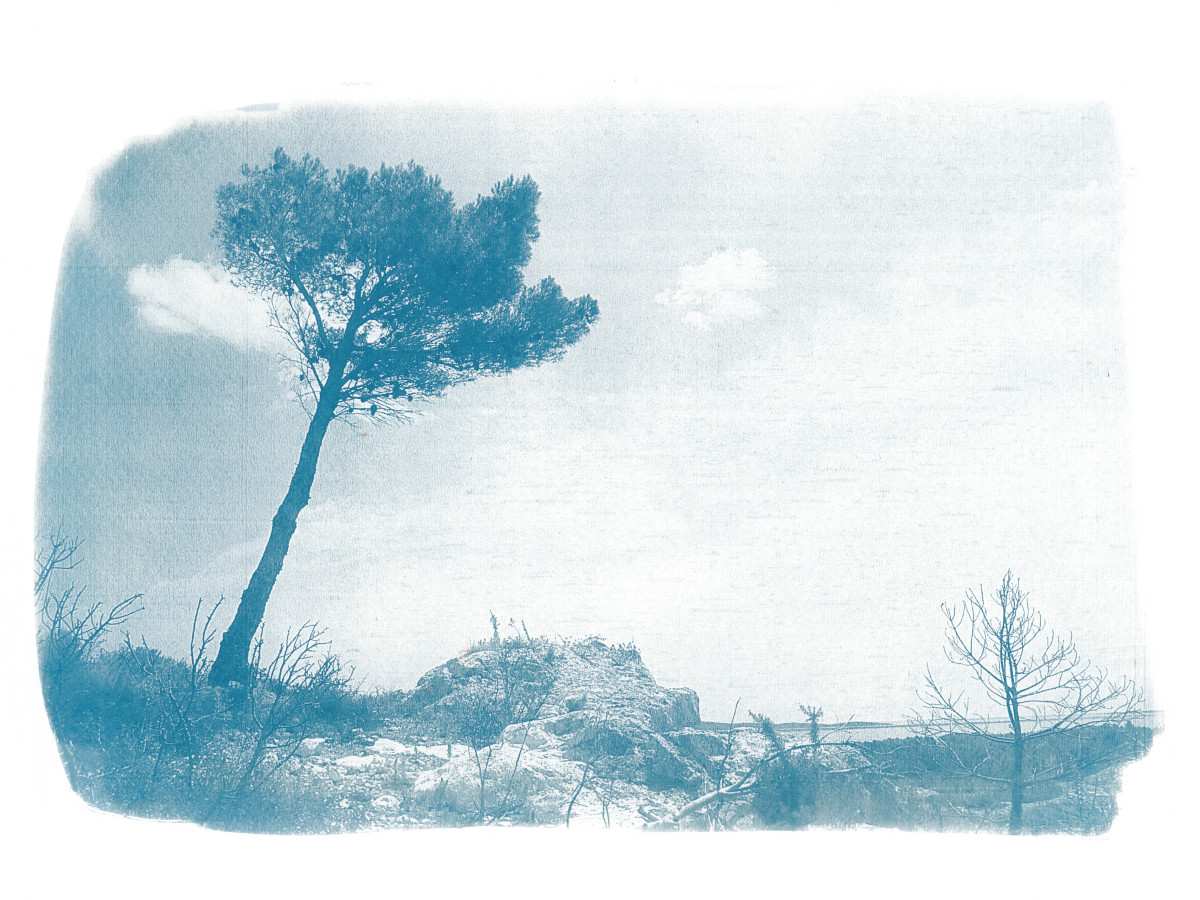 Cyanotype paysages sensibles 08