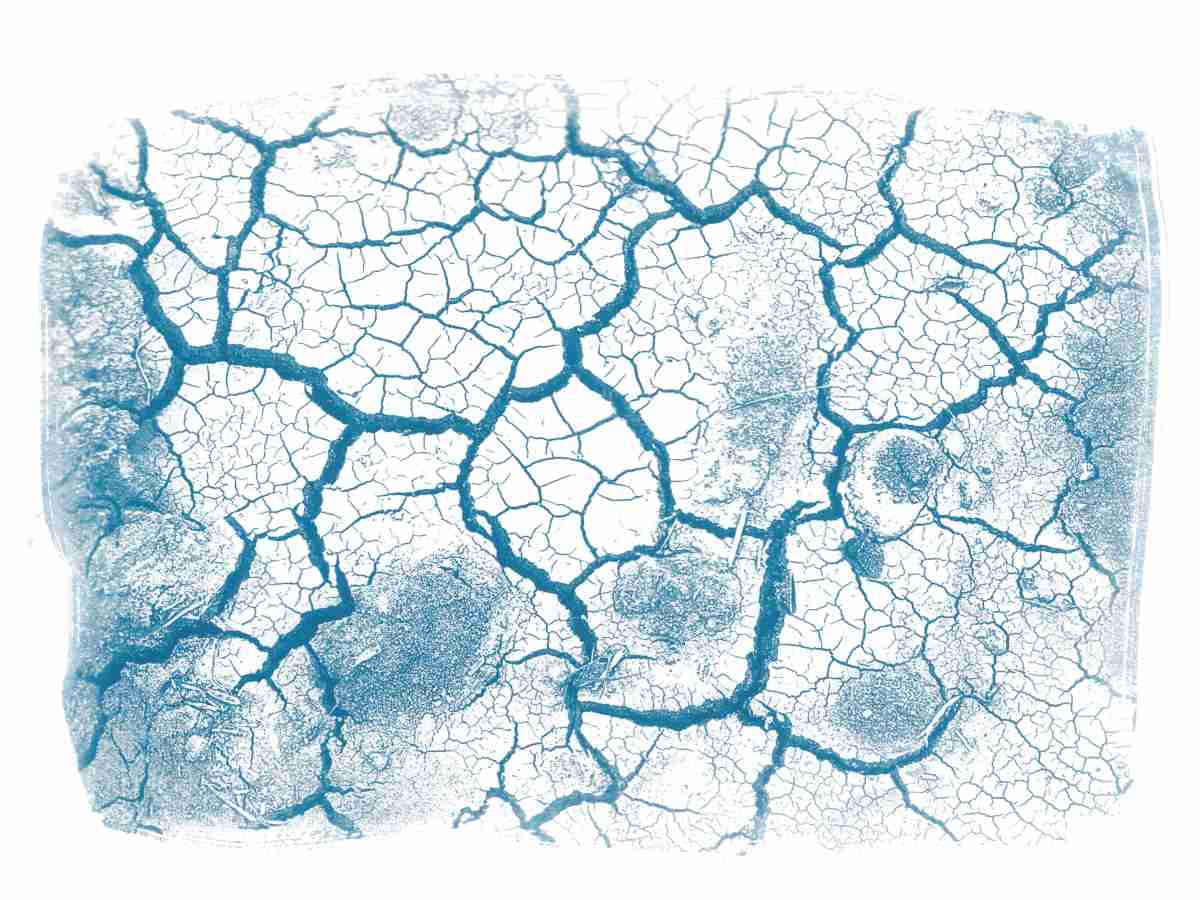 Cyanotype paysages sensibles 11