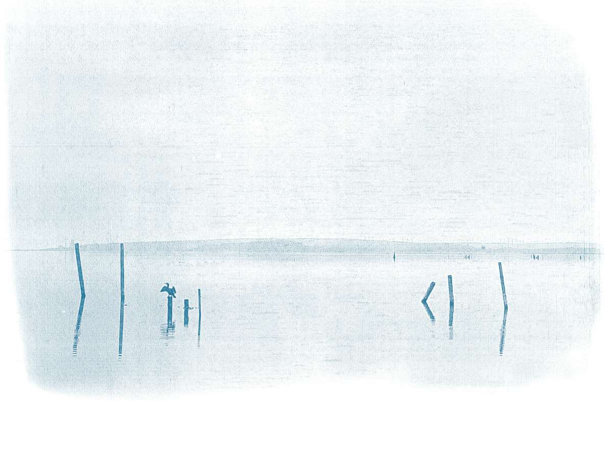 Cyanotype paysages sensibles 12