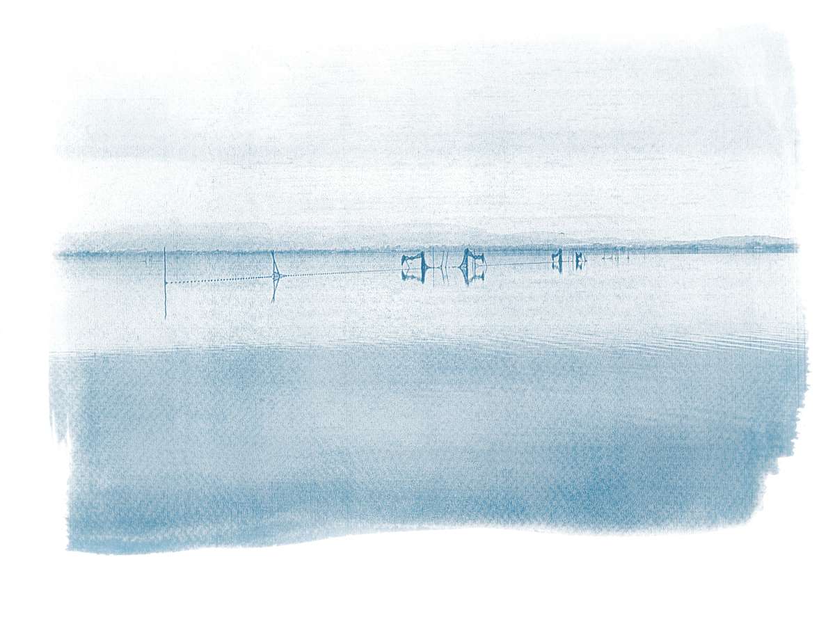 Cyanotype paysages sensibles 13