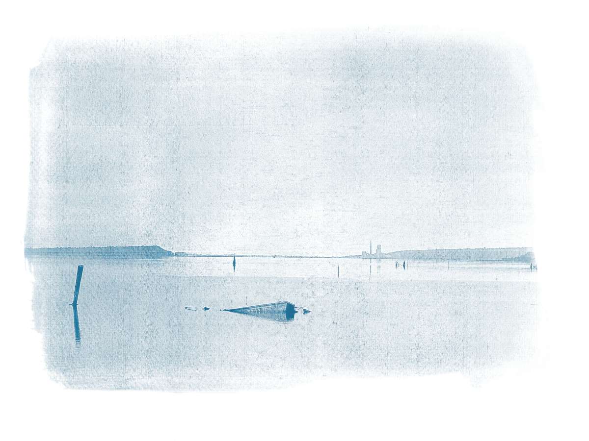 Cyanotype paysages sensibles 14