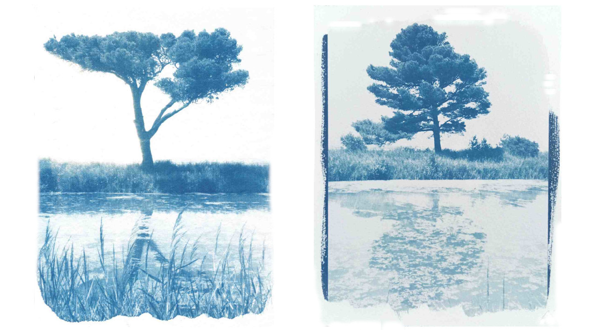Cyanotype paysages sensibles 15