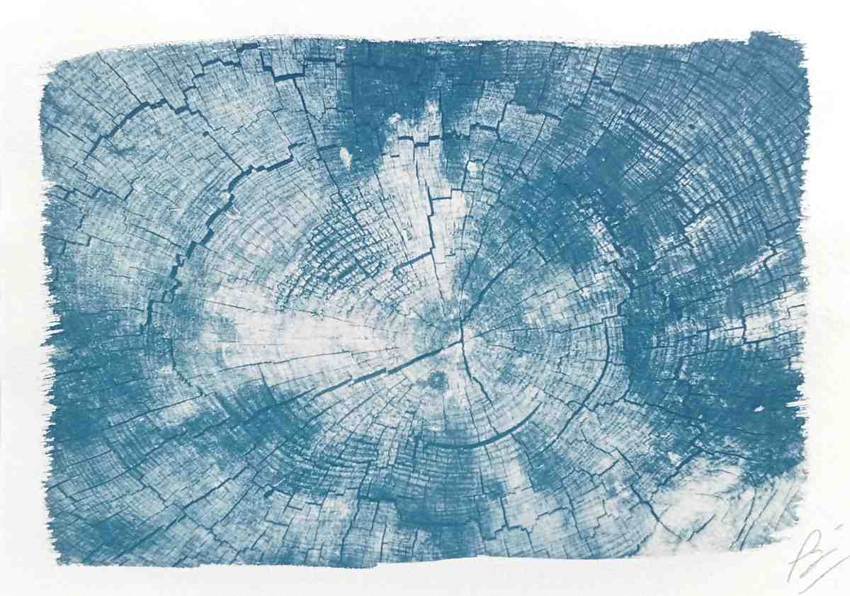 Cyanotype paysages sensibles 18
