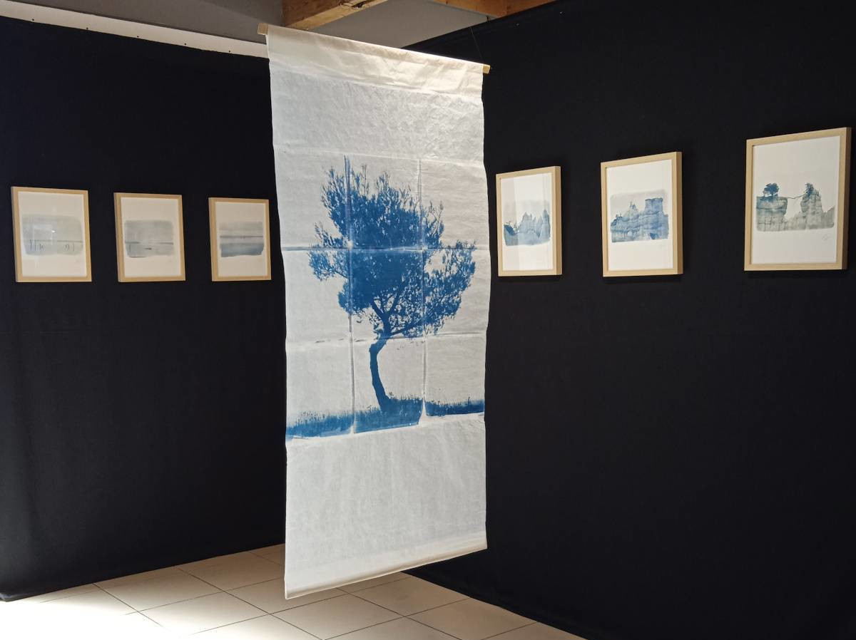 Cyanotype paysages sensibles 22