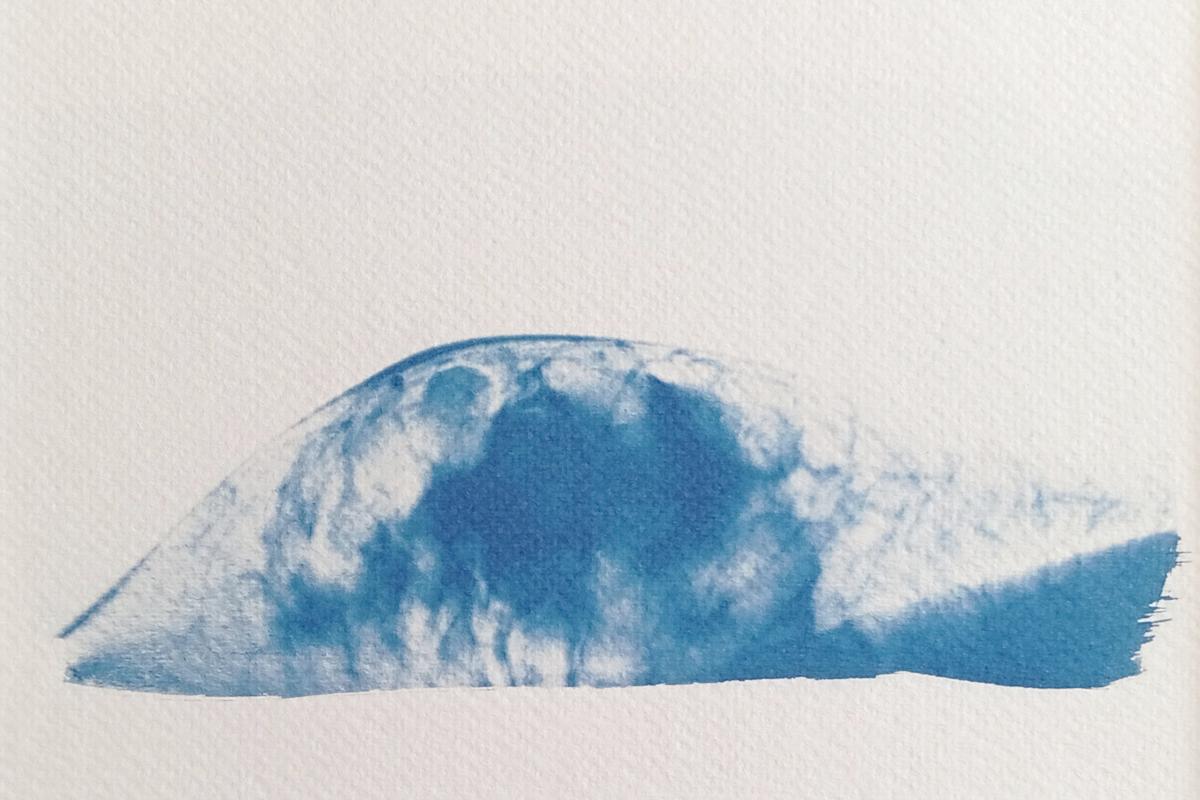 Cyanotype radiographie Paysages Intérieurs 01