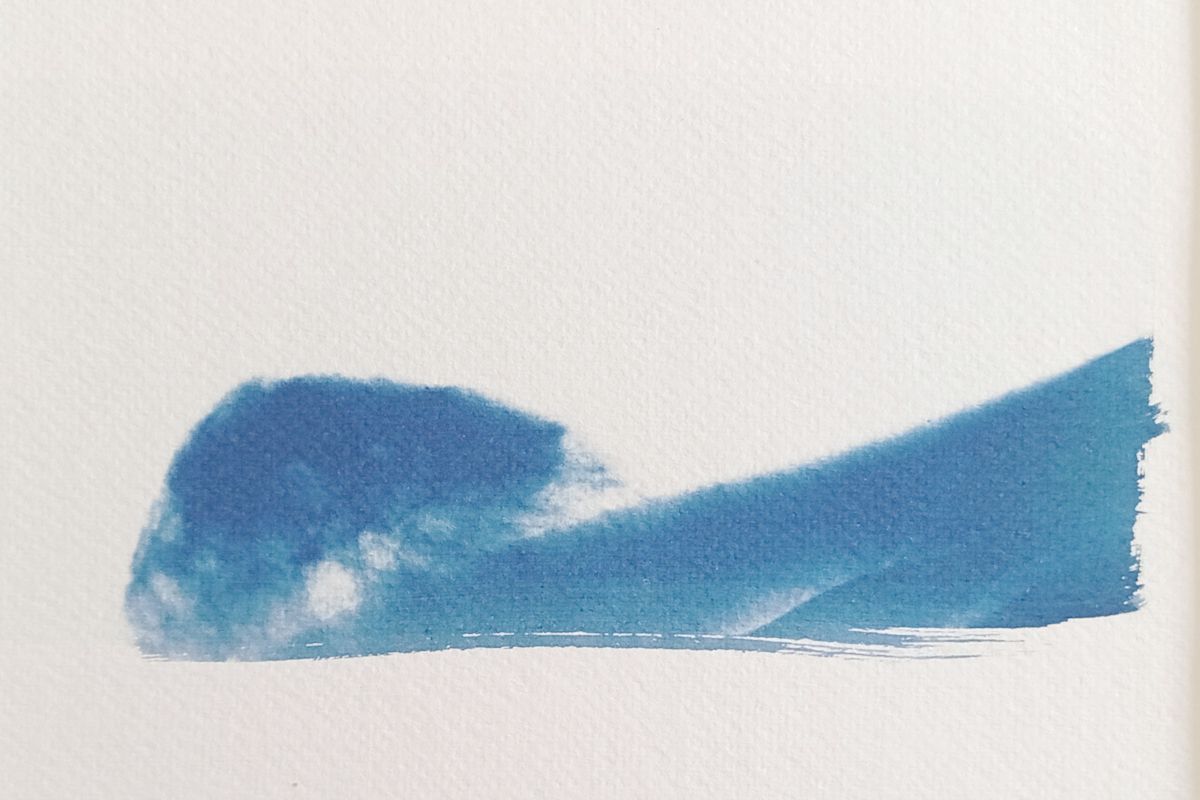 Cyanotype radiographie Paysages Intérieurs 02