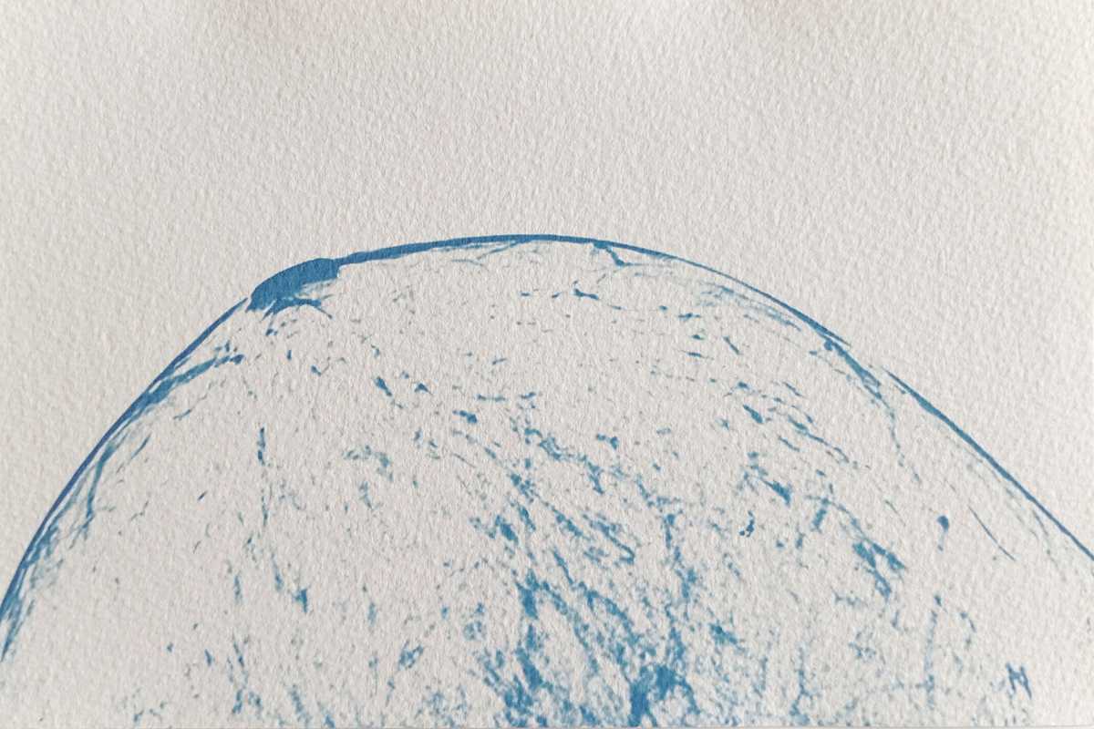 Cyanotype radiographie Paysages Intérieurs 04
