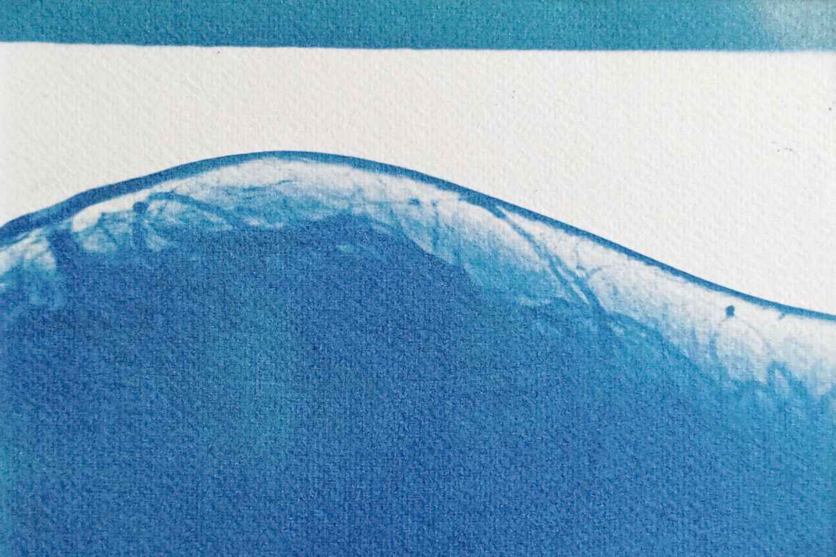 Cyanotype radiographie Paysages Intérieurs 05