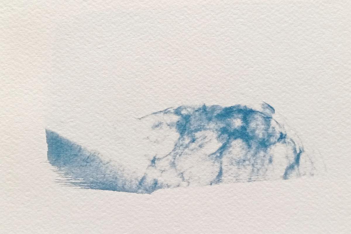 Cyanotype radiographie Paysages Intérieurs 06