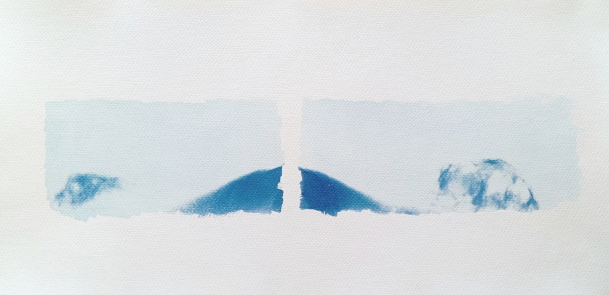 Cyanotype radiographie Paysages Intérieurs 08