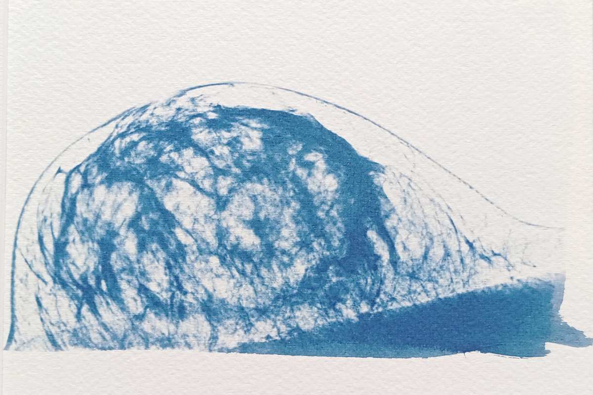 Cyanotype radiographie Paysages Intérieurs 09