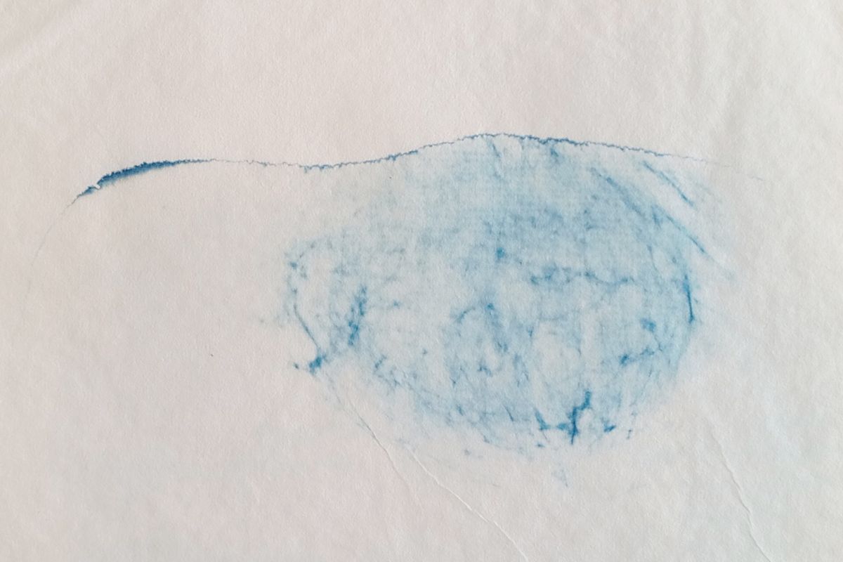 Cyanotype radiographie Paysages Intérieurs 10