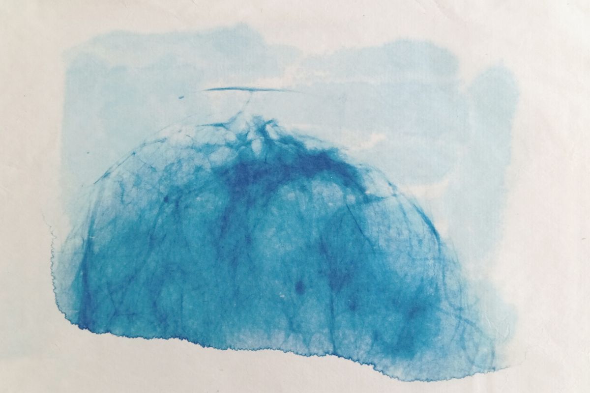 Cyanotype radiographie Paysages Intérieurs 11