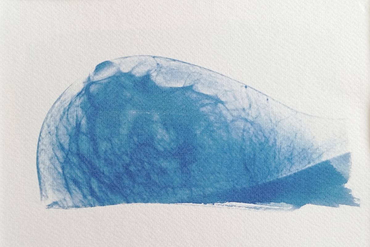 Cyanotype radiographie Paysages Intérieurs 12
