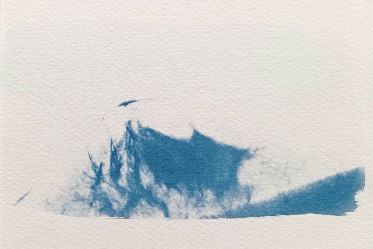 Cyanotype radiographie Paysages Intérieurs 13