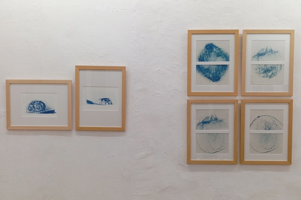 Cyanotype radiographie Paysages Intérieurs 15
