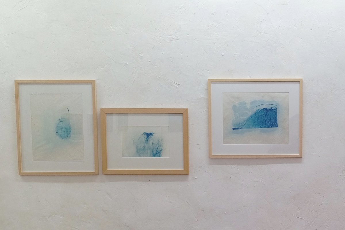 Cyanotype radiographie Paysages Intérieurs 16
