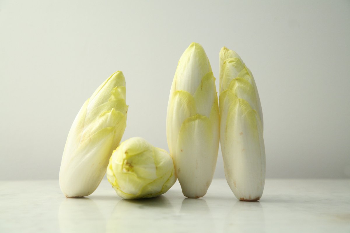 photographie nature morte en mouvement 02