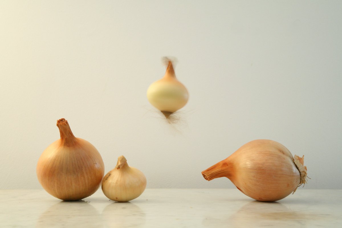 photographie nature morte en mouvement 05