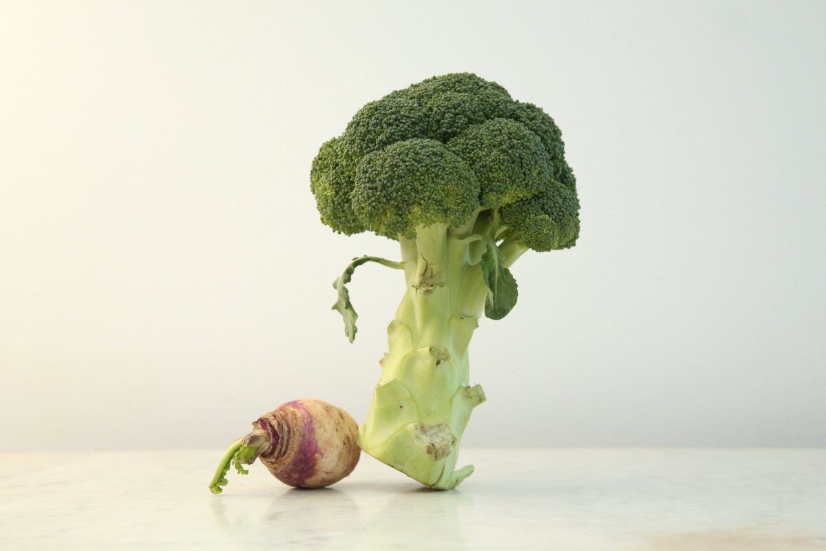 photographie nature morte en mouvement 06