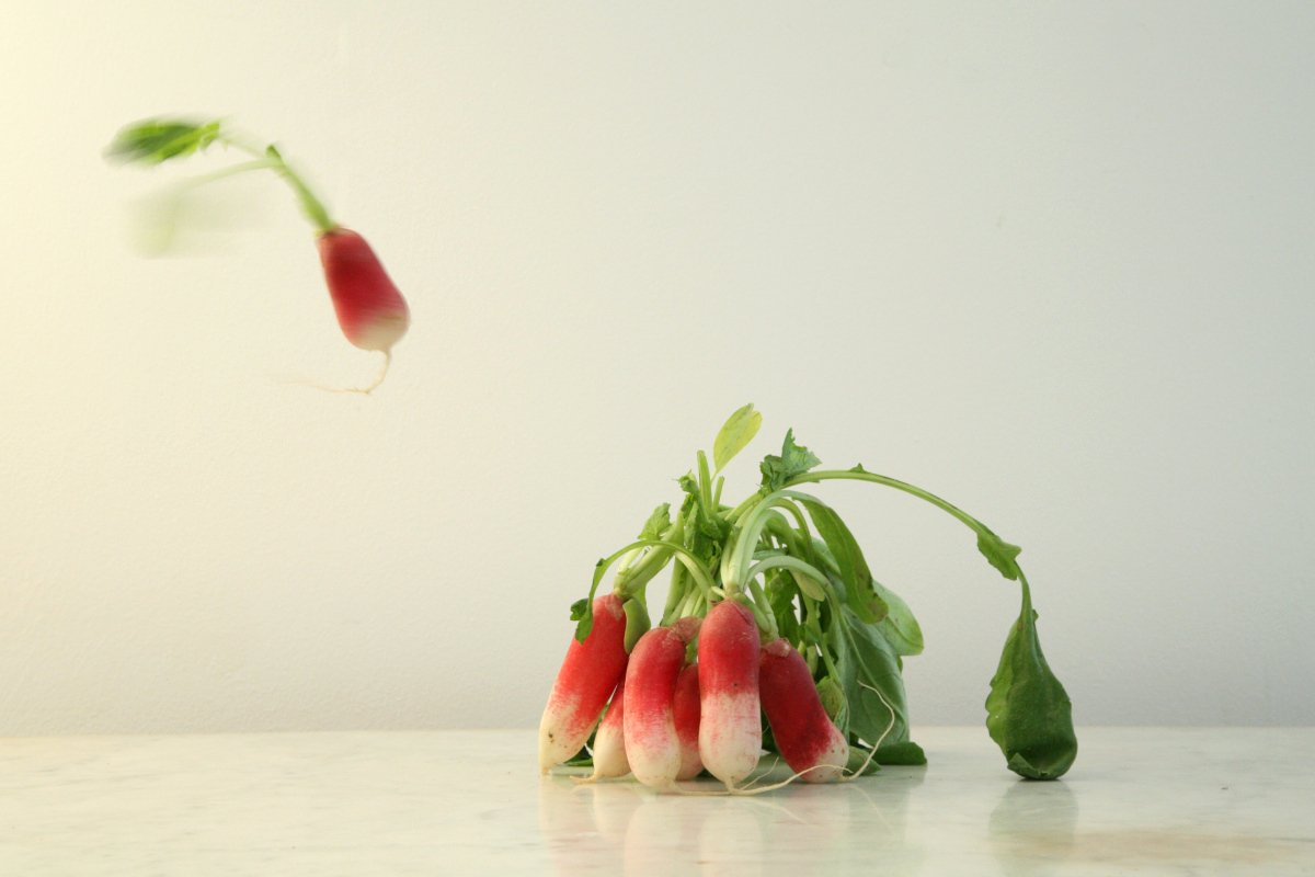 photographie nature morte en mouvement 07