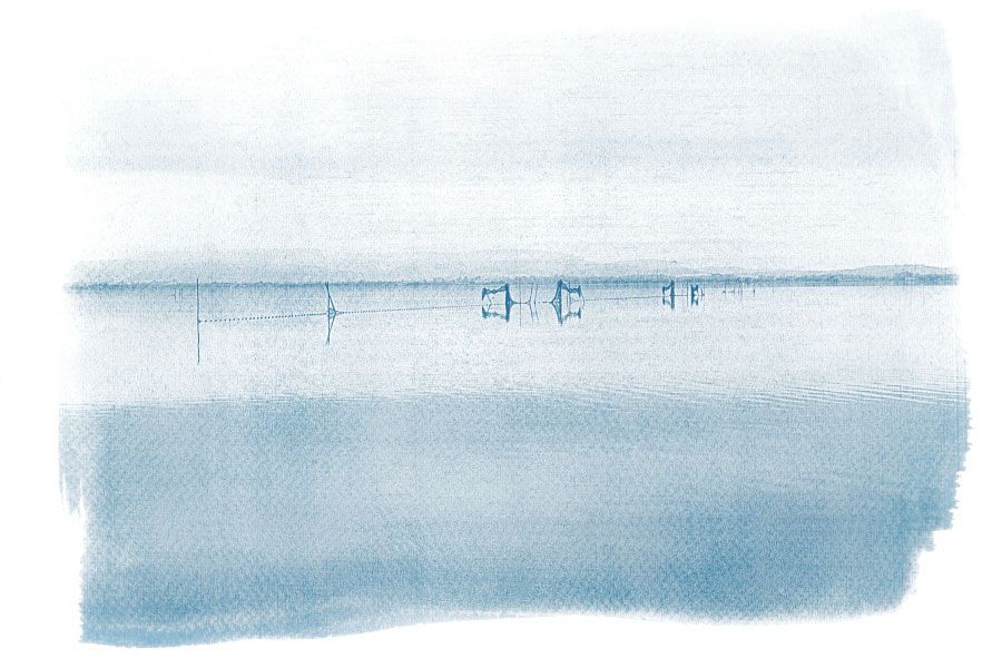 tirage cyanotype photographie étang de Bages